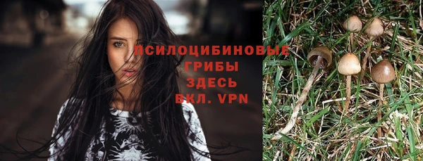 spice Покров