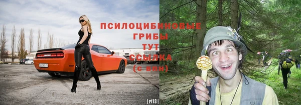 2c-b Абинск