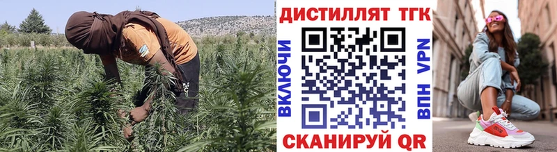 Дистиллят ТГК Wax  сколько стоит  Североморск 