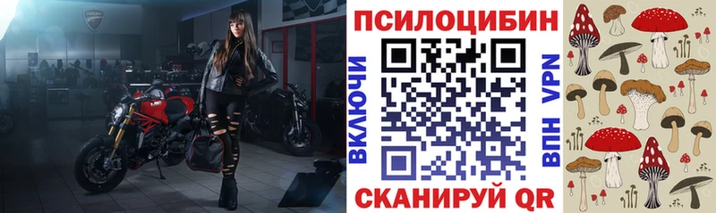 Псилоцибиновые грибы мицелий Североморск